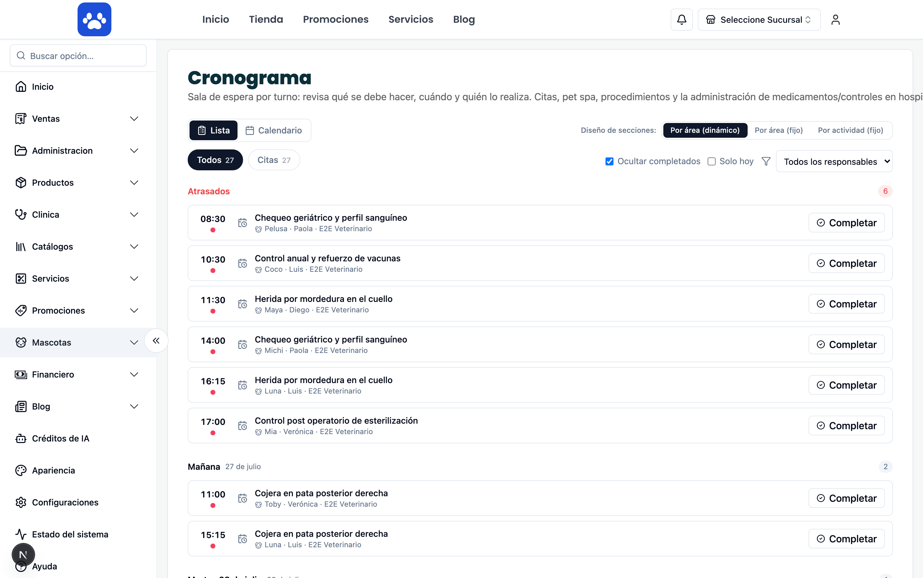 Cronograma clínico — Captura real del sistema